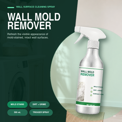 Powerful Mold and Mildew Remover Spray