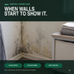 Powerful Mold and Mildew Remover Spray