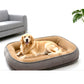 🐾 Save 50%! 🛏️ Ergonomic Pet Bed – Cozy, breathable & all‑season ✨