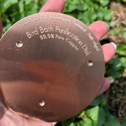 Natural Algae Inhibitor for Bird Baths & Fountains