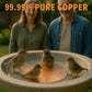 Natural Algae Inhibitor for Bird Baths & Fountains