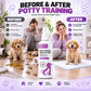 🥳HOT SALE🥳💞10K+ SOLD! Potty Training Spray ! 🐾 Guides pets, safe & easy spray. Cleaner home – grab yours! ✅