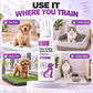 🥳HOT SALE🥳💞10K+ SOLD! Potty Training Spray ! 🐾 Guides pets, safe & easy spray. Cleaner home – grab yours! ✅