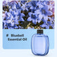 🌸 Save 50%! 💨 Aromatherapy Diffuser – Automatic, soothing & gift-ready ✨