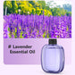 🌸 Save 50%! 💨 Aromatherapy Diffuser – Automatic, soothing & gift-ready ✨