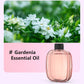 🌸 Save 50%! 💨 Aromatherapy Diffuser – Automatic, soothing & gift-ready ✨