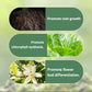 💥Last Day Promotion 49%OFF💥 Slow-Release Organic Fertilizer In Stick Form For Indoor Plants