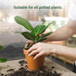 💥Last Day Promotion 49%OFF💥 Slow-Release Organic Fertilizer In Stick Form For Indoor Plants