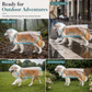 Transparent Waterproof Dog Raincoat for All Sizes